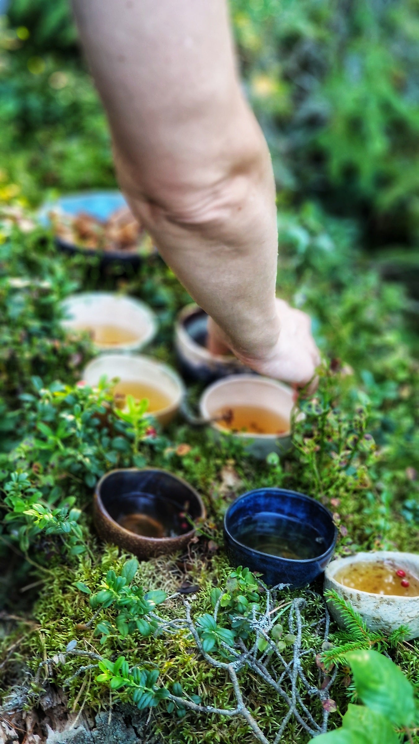 Miško Maudynės Dviems DOVANŲ KUPONAS