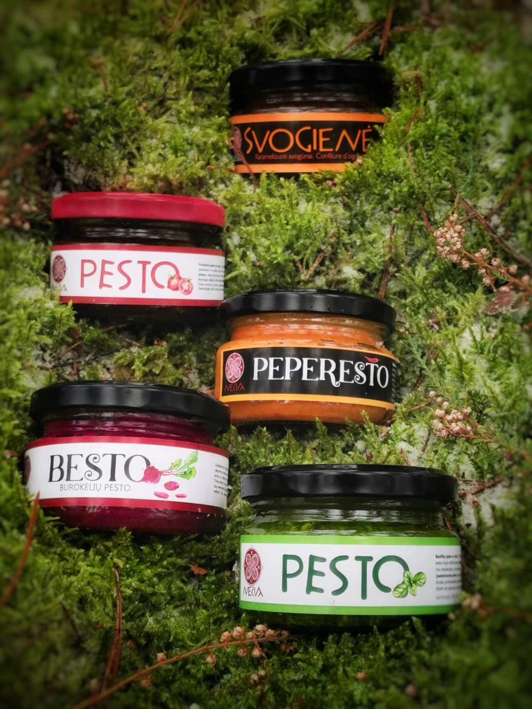 Skaniam gyvenimui PRE ORDER (degustaciniai 5x100 ml)