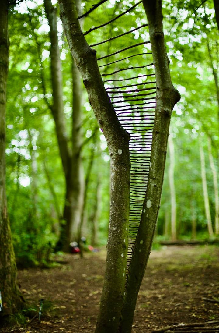 Žemės menas: kūrybinė-meninė edukacija