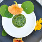 Nasturčių pesto