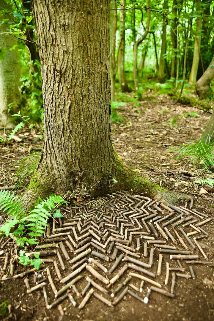 Žemės menas: kūrybinė-meninė edukacija