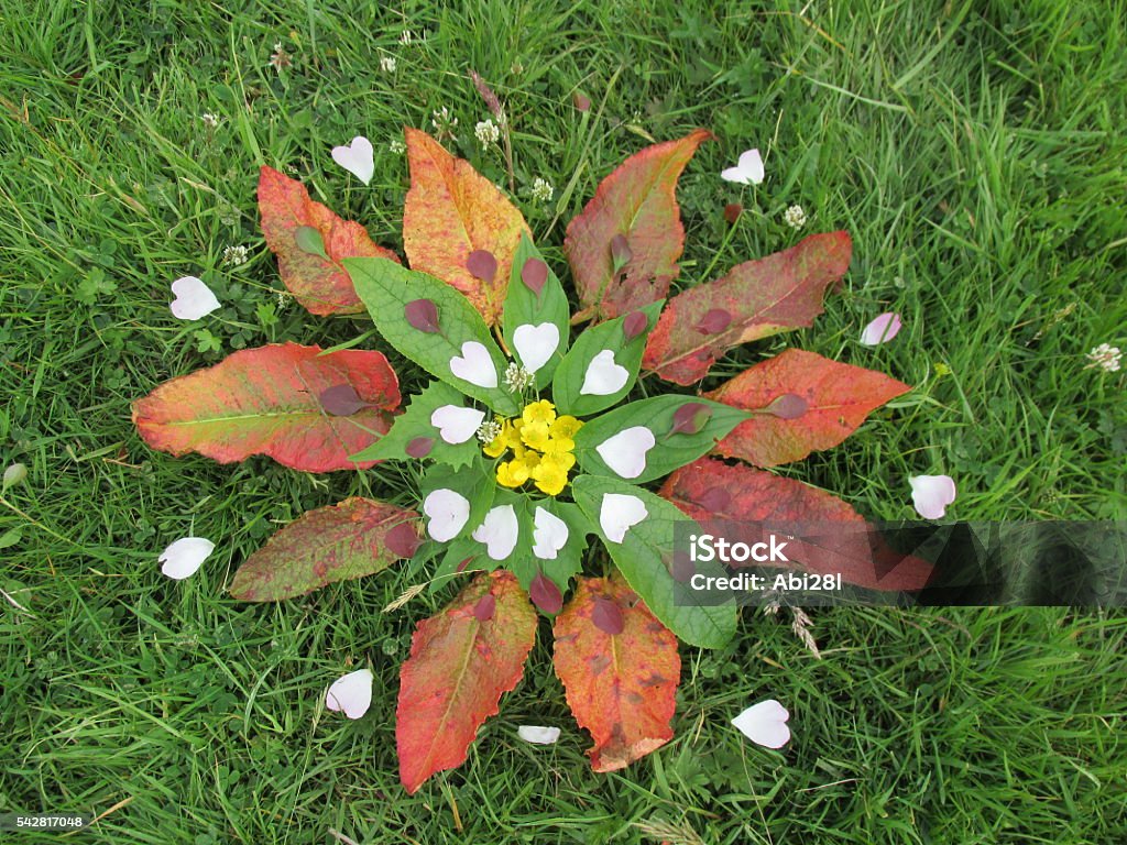 Žemės menas: kūrybinė-meninė edukacija